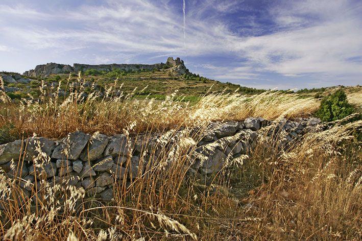 Château de Salvaterre - ©Paul Delgado