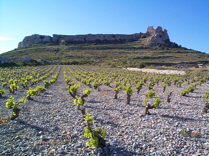 Château de Salvaterre - © F. Piquemal-Pastre