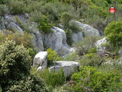 Chaises naturelles